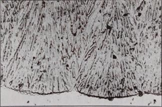 具有放射狀成長微孔的鉻酸陽極氧化膜的截面構(gòu)造
